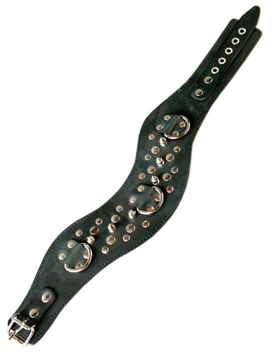 Ошейник фигурный декорированный шипами